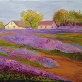 Лавандовые поля