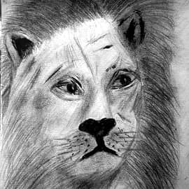 Причёска имеет значение