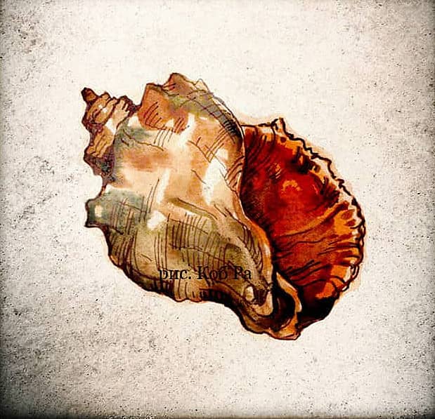 игрушка, в которой живёт море