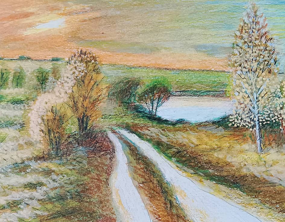 Лес на закате