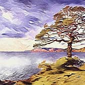 Сосна у моря.