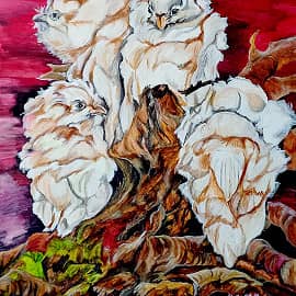 Белые птицы