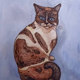 Милая кошка