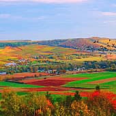 Краски осени.