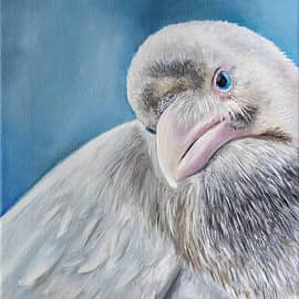 Белый ворон