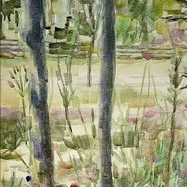 Домашний уголок, летние воспоминания.