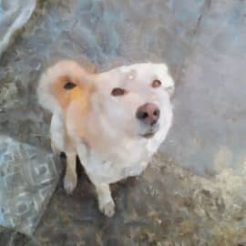 ПОМНИТЕ МЕНЯ