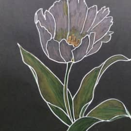 Тюльпан в ночи