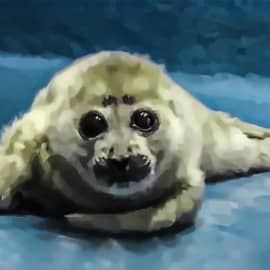 Животные 036