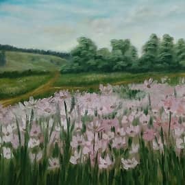 Лето (степь)