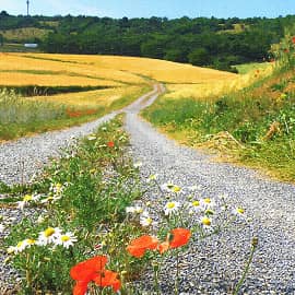 а дорога вдаль стремится
