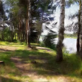 Ветреный день.