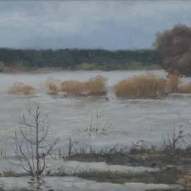 Ока. Большая вода.