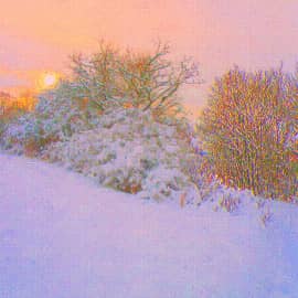 Робкий рассвет