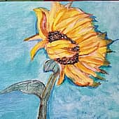 Солнечный цветок. Архив