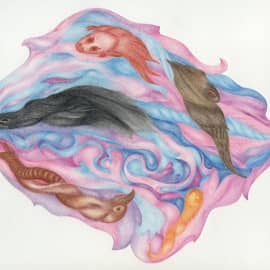 Зазеркалье, Опус 2