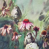Воробьи и эхинацея.