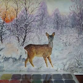 Изящный обитатель леса