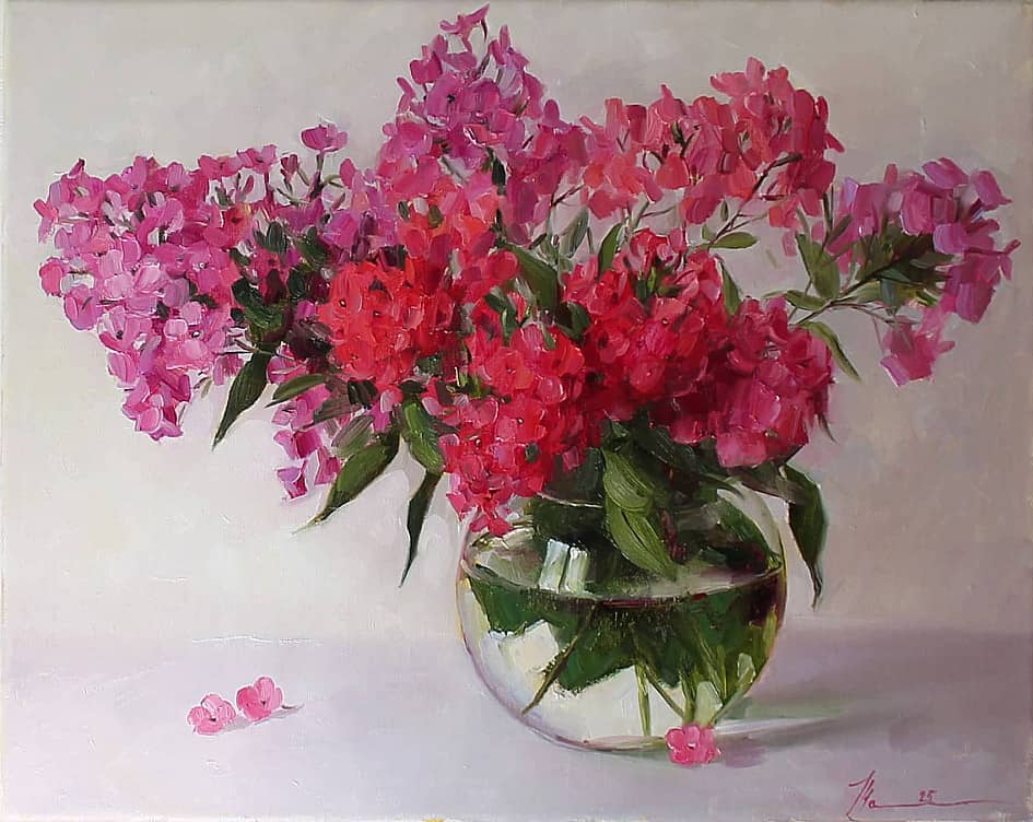 Флоксы