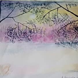 Зима дерево закат