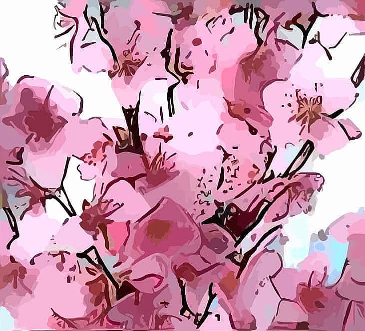 Цветение Сакуры. Триптих Весна