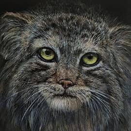 Гроза мышей.