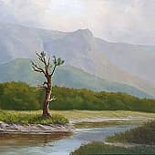 Новое лето для старого дерева.