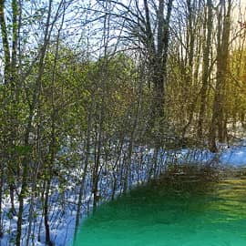 Весенние мотивы.