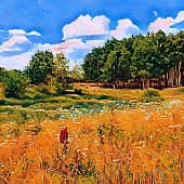 Вспомнилось лето.