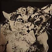 Я проснулась