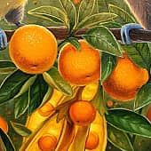 Лиза Рэй - Сад солнечных птиц (4), художник Лиза Рэй