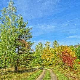 Дорога в осень