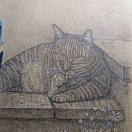Кошка