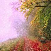 Цветные туманы.