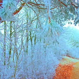 и краешек осени