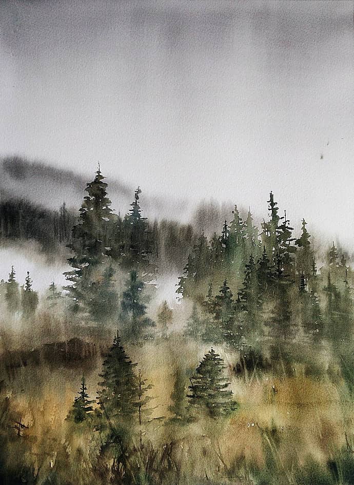 Хвойный лес