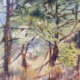 Парк Националь, Испания