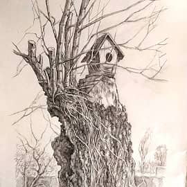 Дуб Соловья-разбойника