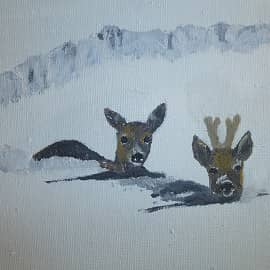 Косули в снегу