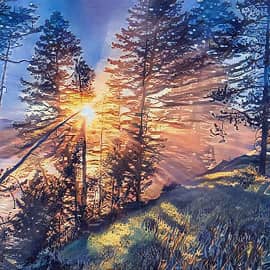 брызги солнечного света