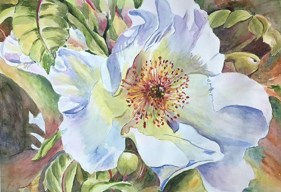 Беленький распустился.