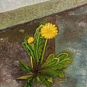 "Сила жизни"