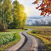 Времена года