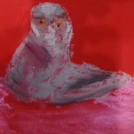 Красный кот