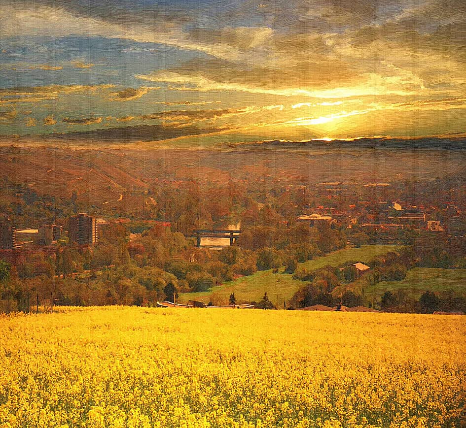 Золотое поле.