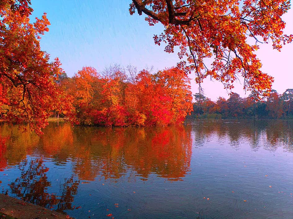 Осенний наряд.