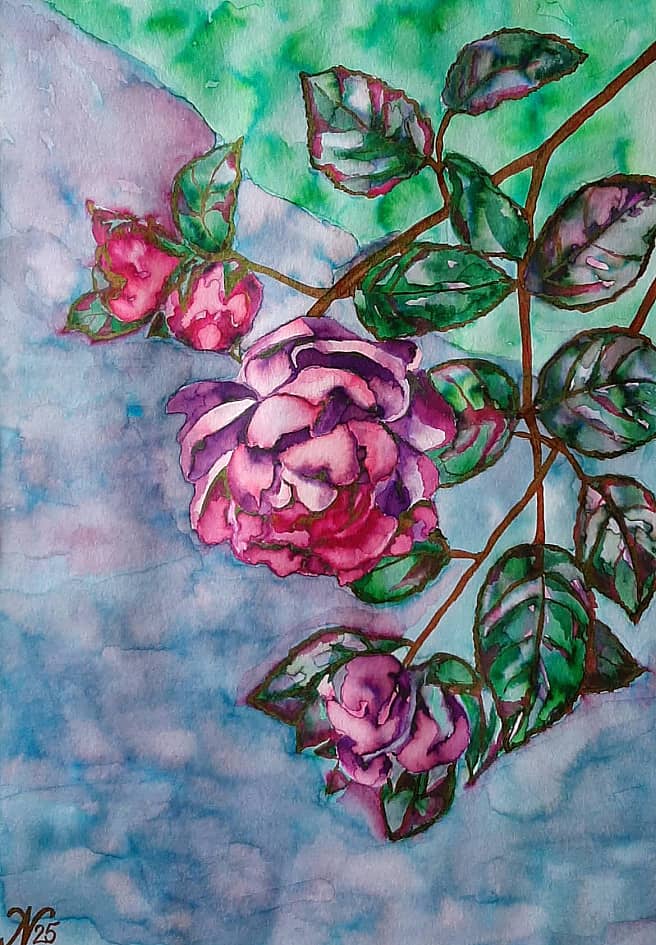 Предновогодние розы