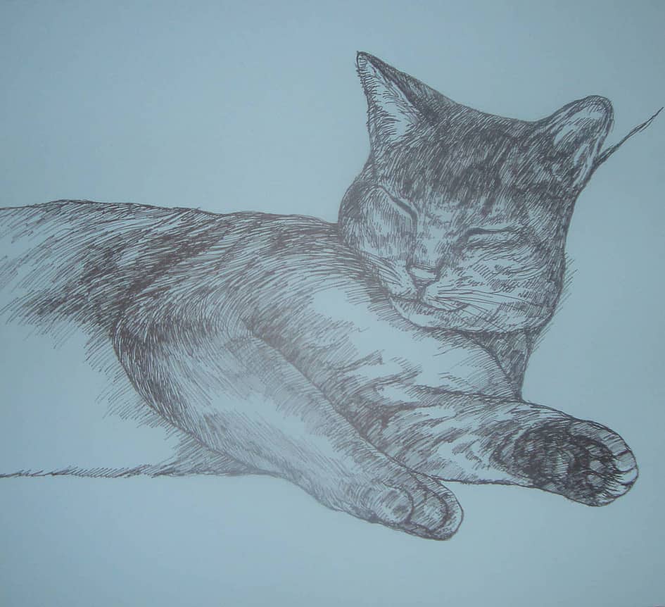 Спящая кошка