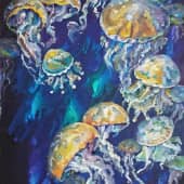 Прозрачные медузы