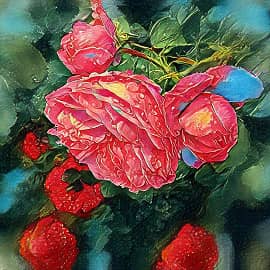 Капли росы.